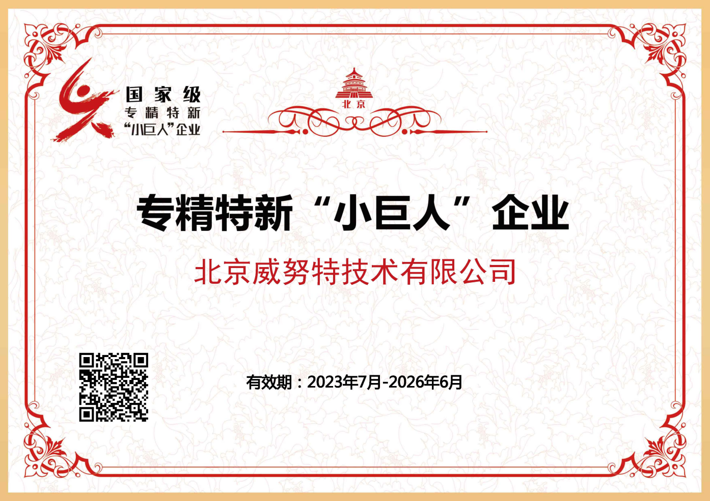 专精特新小巨人